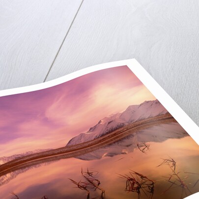 Brooks Range Reflecting in Pond, Alaska by Anonymous