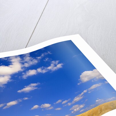 Cumulus Clouds and Wheat Fields in Fall, Washington by Anonymous