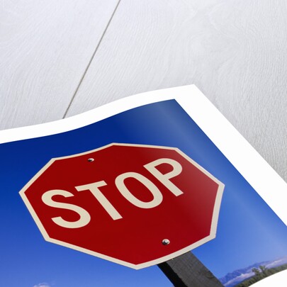 Stop Sign Near Teton Range, Wyoming by Anonymous