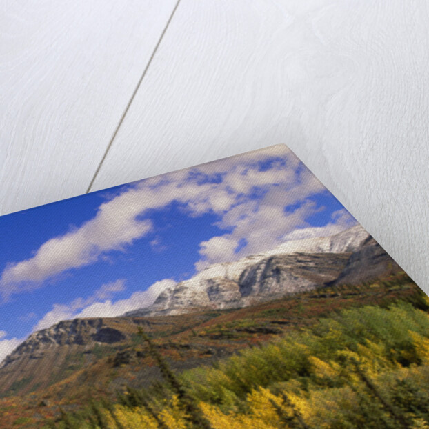 Ogilvie Mountains in Fall, Yukon by Anonymous