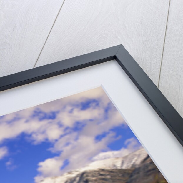 Ogilvie Mountains in Fall, Yukon by Anonymous