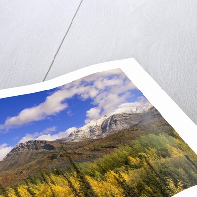 Ogilvie Mountains in Fall, Yukon by Anonymous