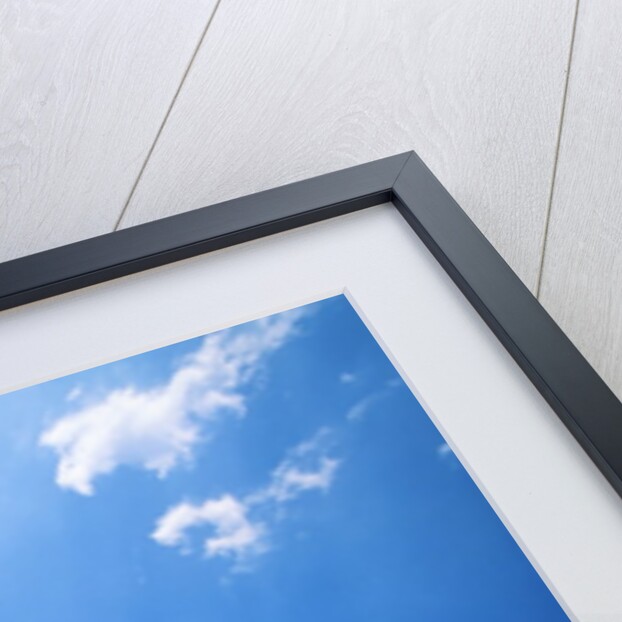 Duomo of Milano by Anonymous