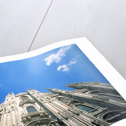 Duomo of Milano by Anonymous
