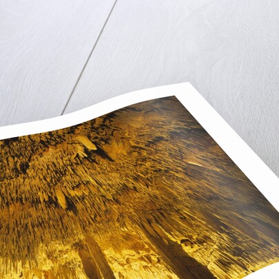 Stalactities on Ceiling of Damlatas Cavern by Anonymous
