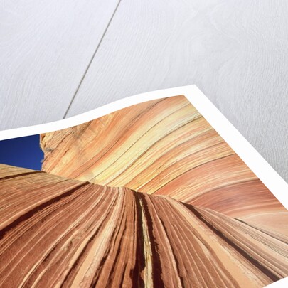Sedimentary Pattern on Rock USA by Anonymous