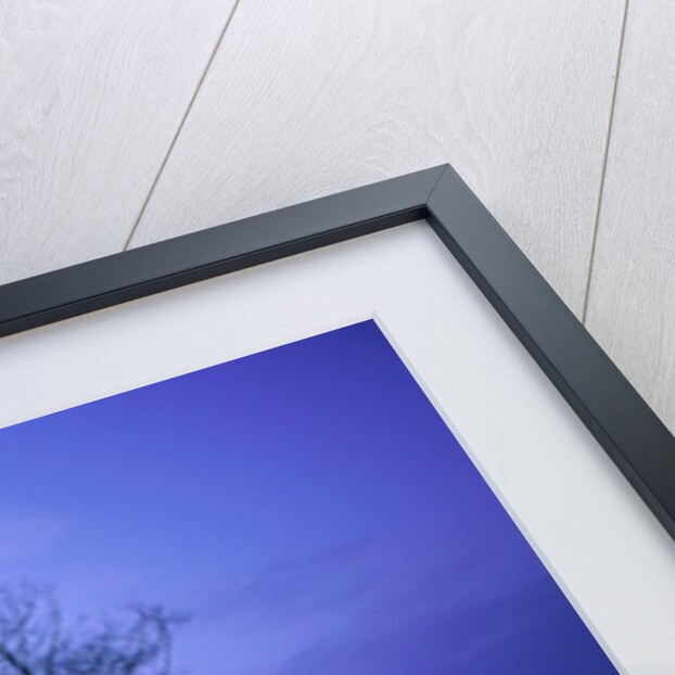 Misty river and forest at dusk, Baden-Wuerttemberg, Germany by Anonymous