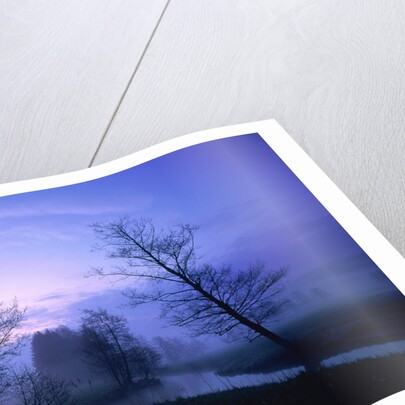 Misty river and forest at dusk, Baden-Wuerttemberg, Germany by Anonymous