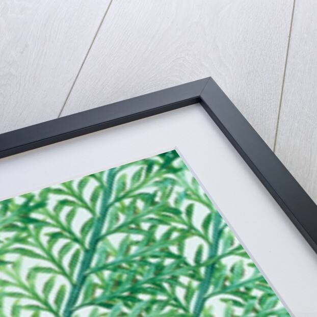 Fern leaf vein by Anonymous