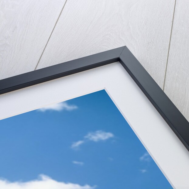 Poppy meadow in landscape by Anonymous