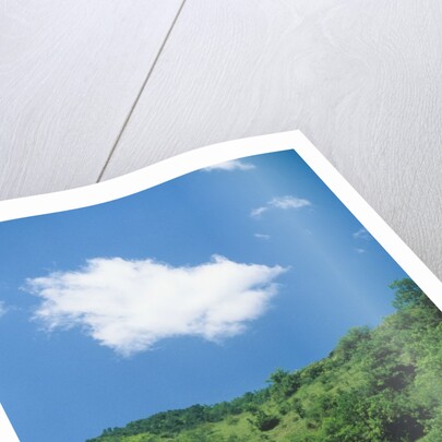 Poppy meadow in landscape by Anonymous