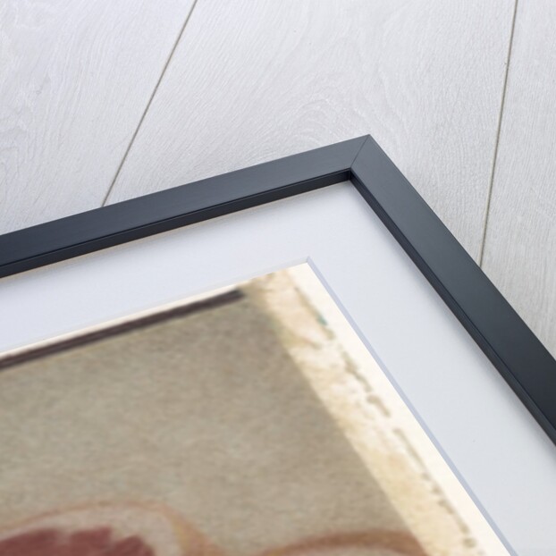 Grapefruit by Jennifer Kennard