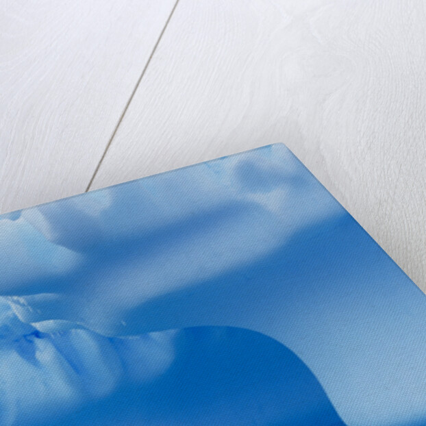 Iceberg by Anonymous