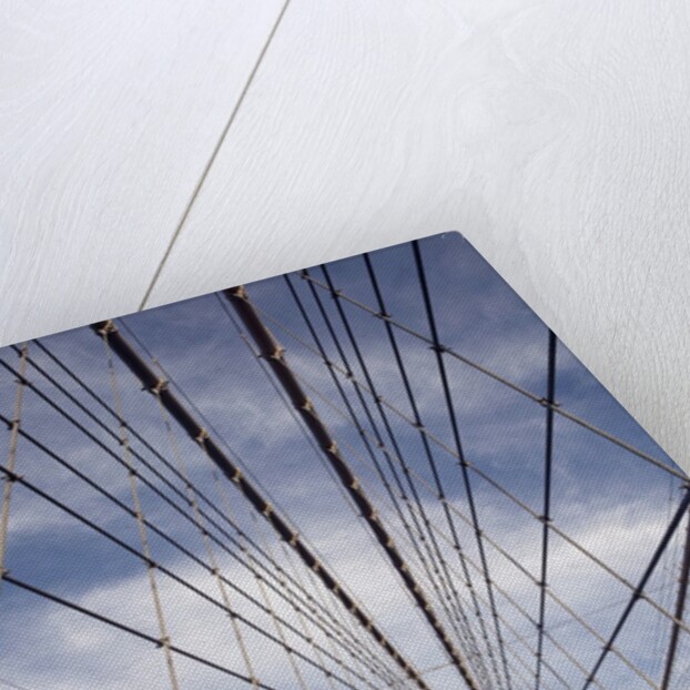 Low angle view of suspension cables, Brooklyn Bridge, New York City, New York, USA by Anonymous