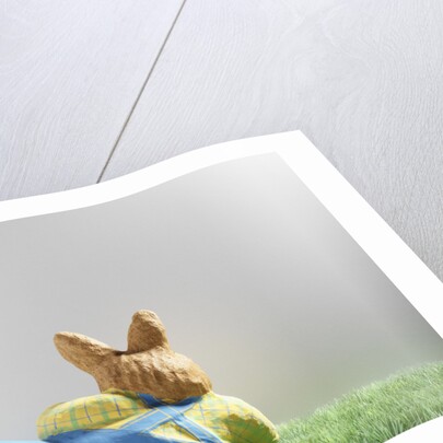 Easter bunny lying on grass by Anonymous