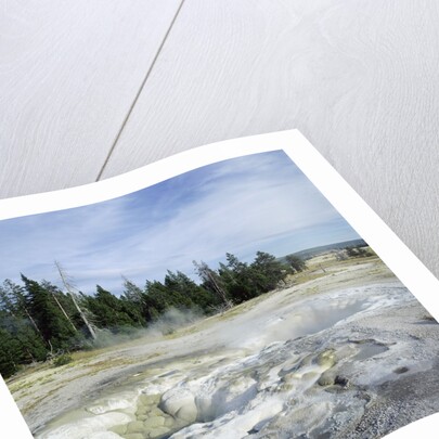 Geyser steaming, Yellowstone National Park, Wyoming, USA by Anonymous