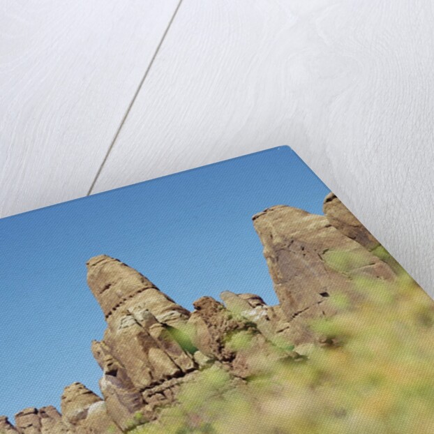 Low angle view of rock formations viewed through grass, Utah, USA by Anonymous