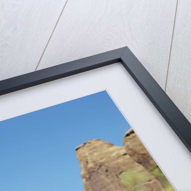 Low angle view of rock formations viewed through grass, Utah, USA by Anonymous