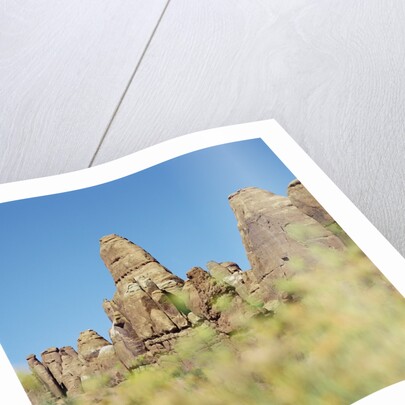 Low angle view of rock formations viewed through grass, Utah, USA by Anonymous