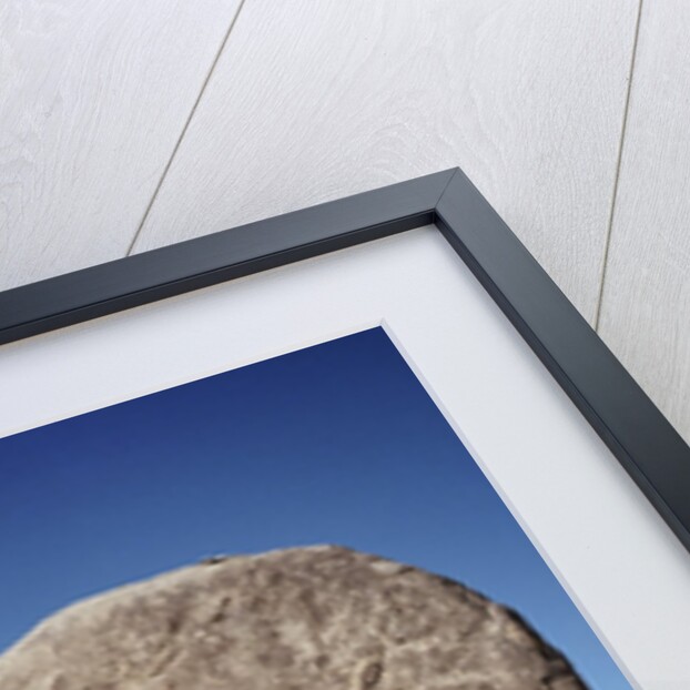 Rock in Joshua Tree National Park by Anonymous