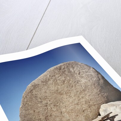 Rock in Joshua Tree National Park by Anonymous