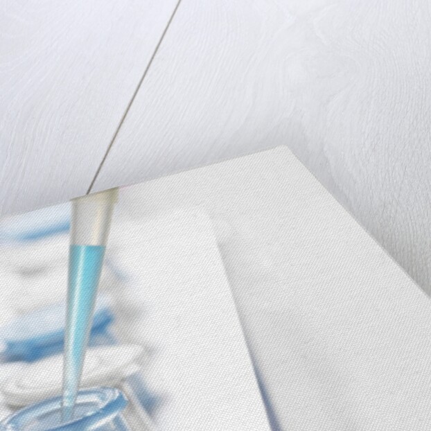 DNA Testing by Anonymous