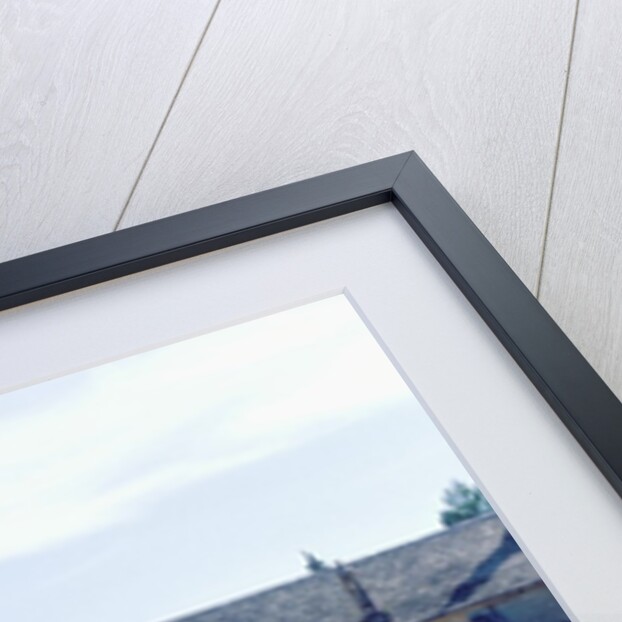 Lavender Field at Abbeye du Senanque by Anonymous