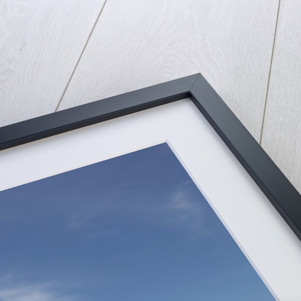 View of stacked up surfboards at the beach by Anonymous