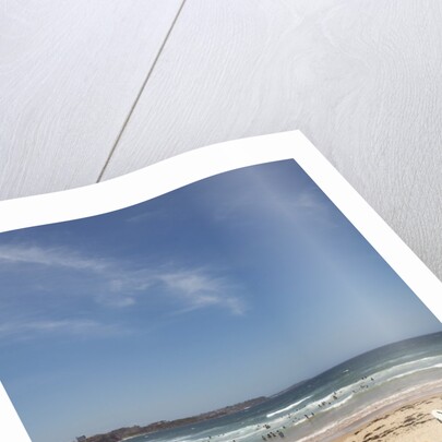 View of stacked up surfboards at the beach by Anonymous