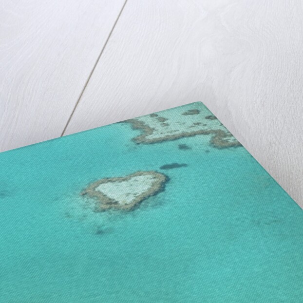 Aerial view of the Great Barrier Reef, Queensland, Australia by Anonymous