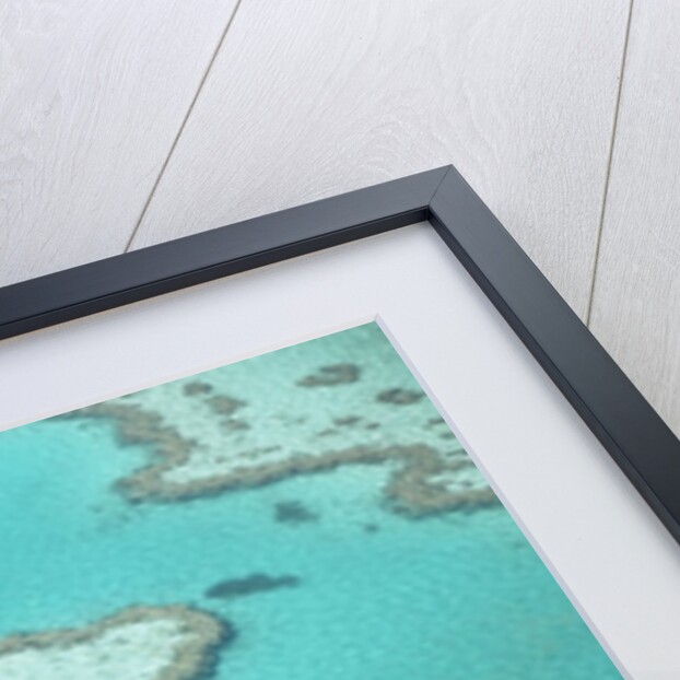 Aerial view of the Great Barrier Reef, Queensland, Australia by Anonymous