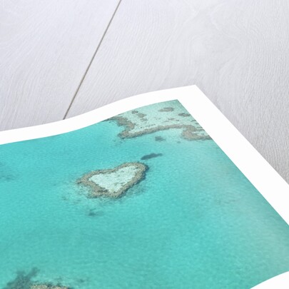 Aerial view of the Great Barrier Reef, Queensland, Australia by Anonymous