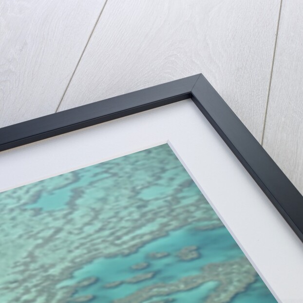 Aerial view of the Great Barrier Reef, Queensland, Australia by Anonymous