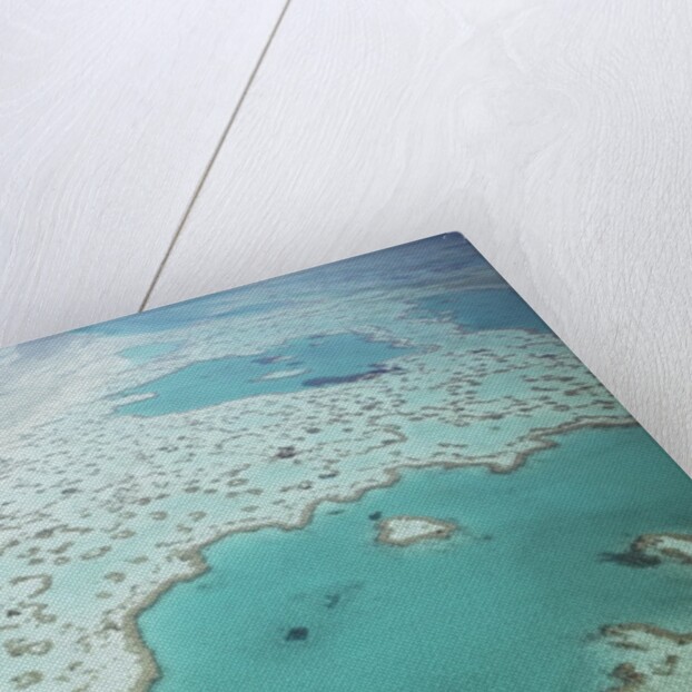 Aerial view of the Great Barrier Reef, Queensland, Australia by Anonymous