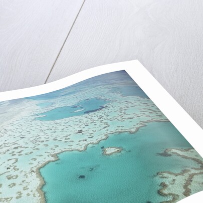 Aerial view of the Great Barrier Reef, Queensland, Australia by Anonymous