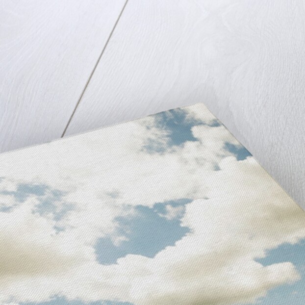 View of a red dirt road through a field by Anonymous