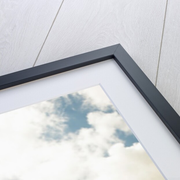 View of a red dirt road through a field by Anonymous