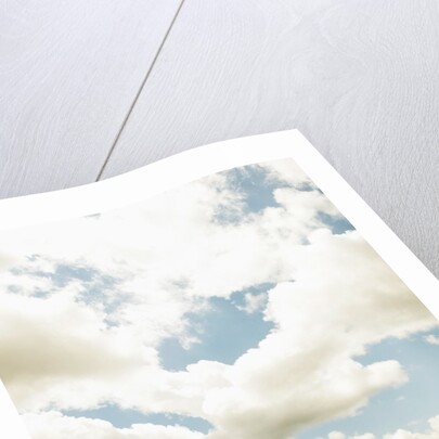 View of a red dirt road through a field by Anonymous