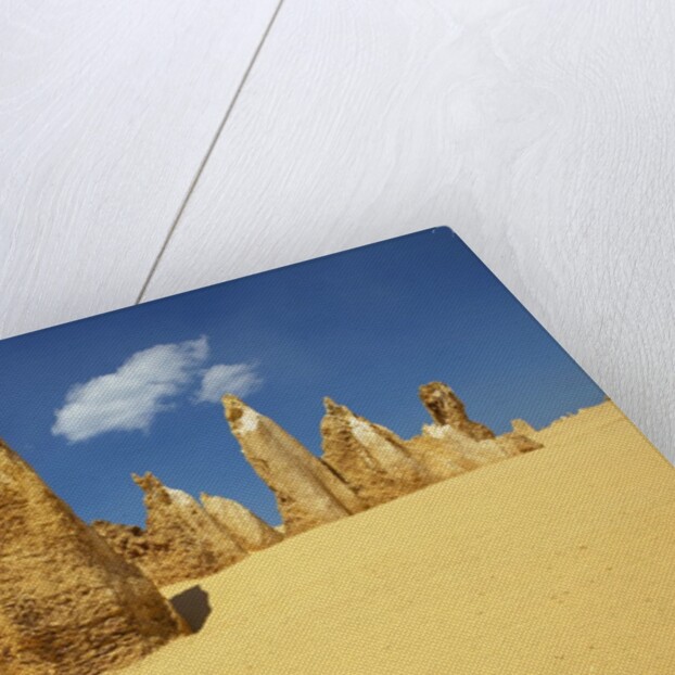 The Pinnacles, Nambung National Park, Australia by Anonymous