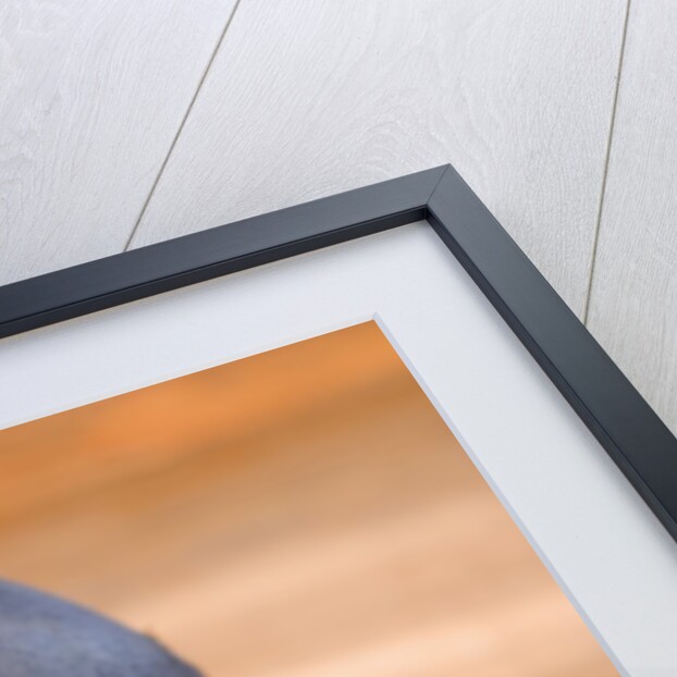 Old Football by Anonymous