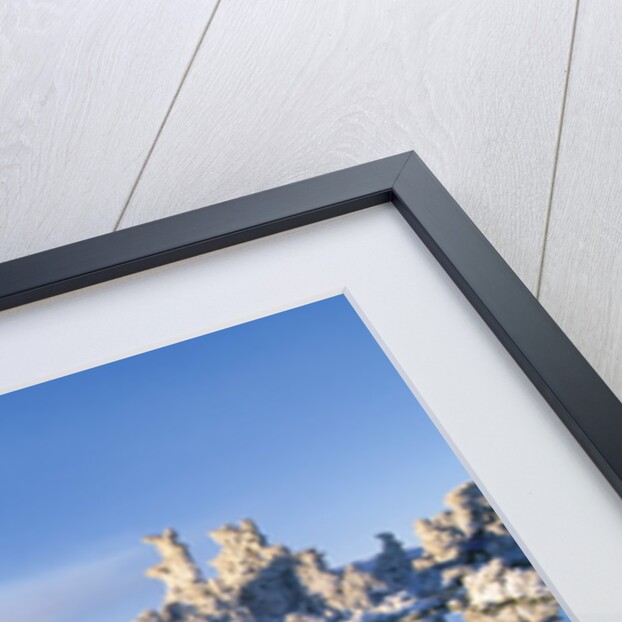 South Tufa, Tufa Towers, Mono Lake, California, USA by Anonymous