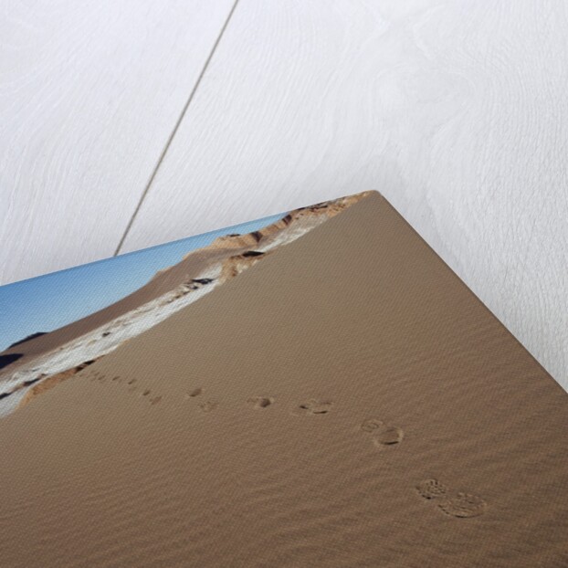 View of footprints leading over a sand dune by Anonymous