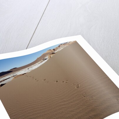 View of footprints leading over a sand dune by Anonymous