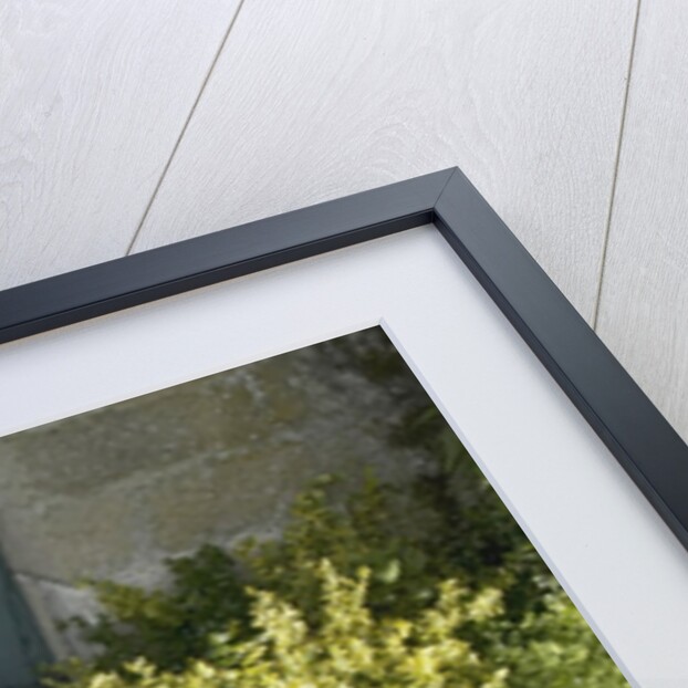 Pink Geraniums in a wheelbarrow by Anonymous