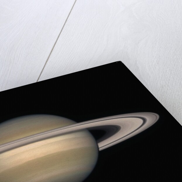 Saturn by Anonymous