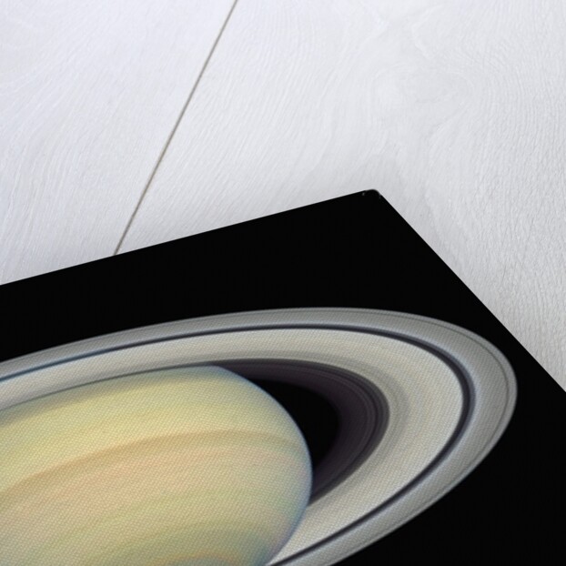 Saturn by Anonymous