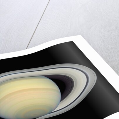 Saturn by Anonymous