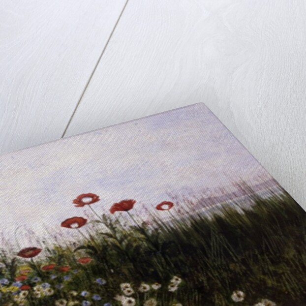 Flowers on the Irish Coast by Andrew Nicholl