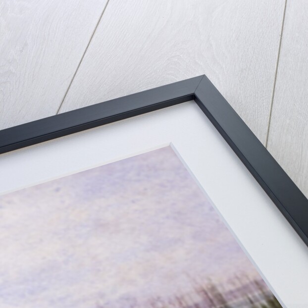 Flowers on the Irish Coast by Andrew Nicholl