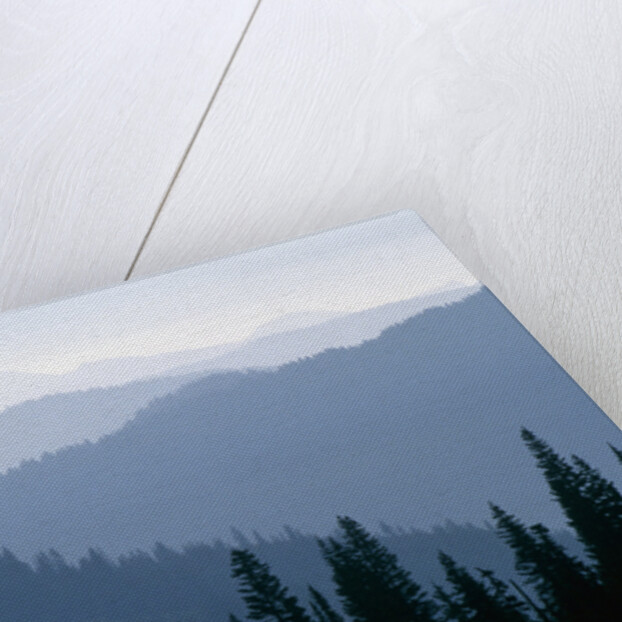 Fog in Cascade Range by Anonymous